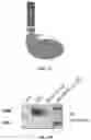 Fig. 05 - MINIMAL ARRESTIN DOMAIN CONTAINING PROTEIN 1(ARRDC1) CONSTRUCTS