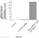Fig. 06 - MINIMAL ARRESTIN DOMAIN CONTAINING PROTEIN 1(ARRDC1) CONSTRUCTS