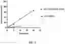 Fig. 03 - Engineered polymerases