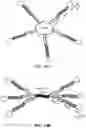 Fig. 40 - Engineered polymerases