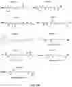 Fig. 43 - Engineered polymerases