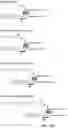 Fig. 44 - Engineered polymerases