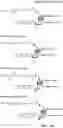 Fig. 45 - Engineered polymerases