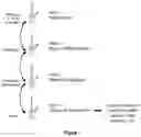 Fig. 02 - Nuclease-based RNA depletion