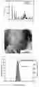 Fig. 01 - Method for preparing large size beta-type ammonium tetramolybdate monocrystal particle