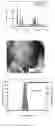 Fig. 02 - Method for preparing large size beta-type ammonium tetramolybdate monocrystal particle