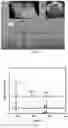 Fig. 04 - Method for preparing large size beta-type ammonium tetramolybdate monocrystal particle