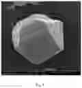 Fig. 05 - Method for preparing large size beta-type ammonium tetramolybdate monocrystal particle