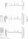 Fig. 09 - Optical imaging system, image capturing unit and electronic device