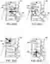 Fig. 06 - Contextual launch interfaces