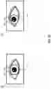 Fig. 13 - SPARSE IMAGE PROCESSING