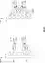 Fig. 16 - SPARSE IMAGE PROCESSING