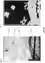 Fig. 17 - SPARSE IMAGE PROCESSING
