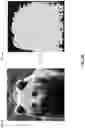 Fig. 18 - SPARSE IMAGE PROCESSING