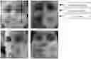 Fig. 01 - Gaze estimation cross-scene adaptation method and device based on outlier guidance