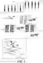 Fig. 02 - Method for dimensional manipulation
