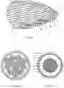 Fig. 02 - CAPACITIVE POWER TRANSMISSION CABLE