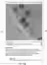 Fig. 138 - Automated application of drift correction to sample studied under electron microscope