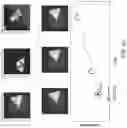Fig. 52 - Automated application of drift correction to sample studied under electron microscope