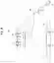 Fig. 09 - Method and apparatus for switching aerial base stations in wireless communication system