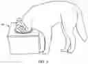 Fig. 04 - SYSTEM AND METHOD FOR NO SPILLAGE DRINKING BOWL