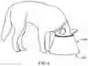 Fig. 06 - SYSTEM AND METHOD FOR NO SPILLAGE DRINKING BOWL