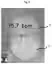 Fig. 03 - Heart Rate Estimation Method and Apparatus, and Electronic Device Applying Same