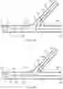 Fig. 09 - Multi-stent and multi-balloon apparatus for treating bifurcations and methods of use