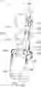 Fig. 01 - HUMAN BODY FLEXION AND EXTENSION ASSIST DEVICE
