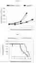 Fig. 02 - ASCORBIC ACID AND QUINONE COMPOUND FOR CANCER TREATMENT