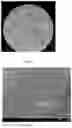 Fig. 02 - MICROENCAPSULATION OF BACTERIOPHAGES AND RELATED PRODUCTS