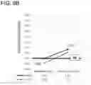 Fig. 07 - PHARMACEUTICAL COMPOSITION FOR USE IN INCREASING HAIR, MODIFYING SCALP OR SKIN, HEALING A WOUND, PROMOTING OSTEOGENESIS, OR MODIFYING HAIR
