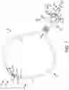 Fig. 02 - NASAL CANNULA
