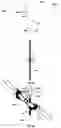 Fig. 21 - EXERCISE APPARATUS AND METHOD OF PHYSIOTHERAPY