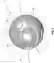 Fig. 02 - Transformable toy