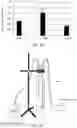 Fig. 14 - METHOD FOR FIXING CARBON DIOXIDE, METHOD FOR PRODUCING FIXED CARBON DIOXIDE, AND CARBON DIOXIDE FIXATION APPARATUS