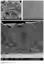 Fig. 05 - SOLVENT-FREE PRODUCTION OF POROUS POLYMER STRUCTURES