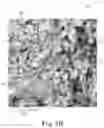 Fig. 04 - SINTERED POROUS BODY WITH MULTIPLE LAYERS