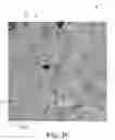 Fig. 05 - SINTERED POROUS BODY WITH MULTIPLE LAYERS