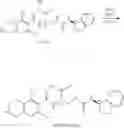 Fig. 719 - Inhibitors of alpha 2 beta 1 integrin and methods of use thereof