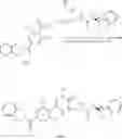 Fig. 749 - Inhibitors of alpha 2 beta 1 integrin and methods of use thereof