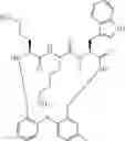 Fig. 166 - Peptide macrocycles against 