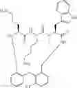 Fig. 167 - Peptide macrocycles against 