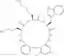 Fig. 197 - Peptide macrocycles against 
