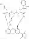 Fig. 331 - Peptide macrocycles against 