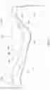 Fig. 08 - Internal combustion engine and piston having piston bowl