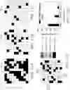 Fig. 22 - Spectroscopic biological material characterization