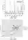 Fig. 32 - Spectroscopic biological material characterization