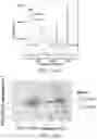 Fig. 35 - Spectroscopic biological material characterization