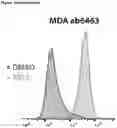 Fig. 49 - COMPOSITIONS AND METHODS FOR DETECTING CELLS UNDERGOING FERROPTOSIS USING AN ANTIBODY